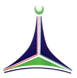 CHANIE-CI Logo